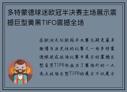 多特蒙德球迷欧冠半决赛主场展示震撼巨型黄黑TIFO震撼全场